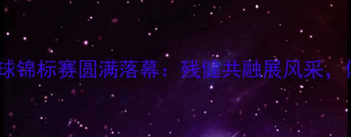 图片 全国残疾人羽毛球锦标赛圆满落幕：残健共融展风采，体育精神耀东方2