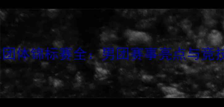 图片 全国男子羽毛球团体锦标赛全：男团赛事亮点与竞技策略深度解读2
