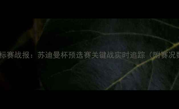 图片 全国羽毛球团体锦标赛战报：苏迪曼杯预选赛关键战实时追踪（附赛况数据与专家点评）2