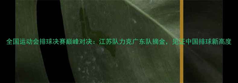 图片 全国运动会排球决赛巅峰对决：江苏队力克广东队摘金，见证中国排球新高度