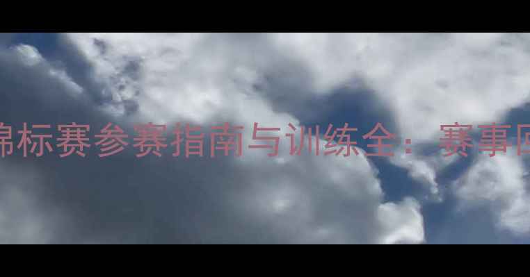 图片 全国青少年羽毛球锦标赛参赛指南与训练全：赛事回顾+技术提升秘籍1