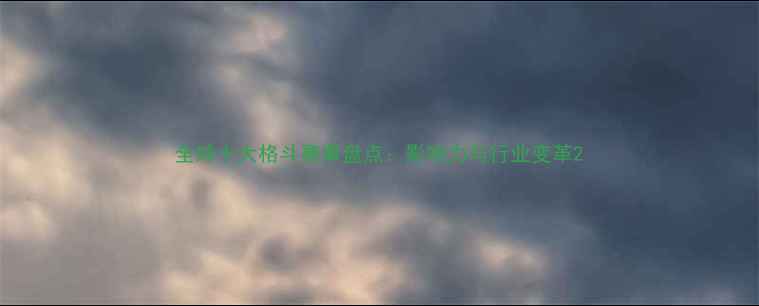 图片 全球十大格斗赛事盘点：影响力与行业变革2