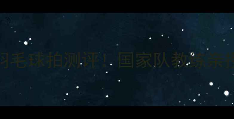 图片 全球比赛专用羽毛球拍测评！国家队教练亲授选拍避坑指南