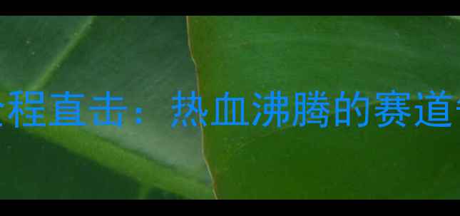 图片 全运会公路自行车赛全程直击：热血沸腾的赛道争夺与冠军诞生全记录