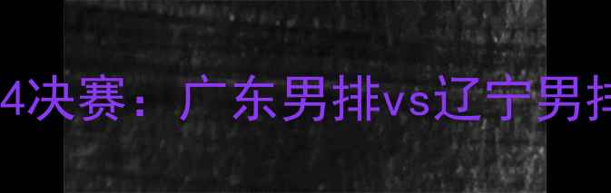 图片 全运会男排14决赛：广东男排vs辽宁男排巅峰对决全