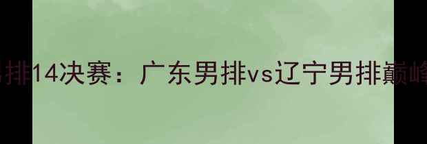 图片 全运会男排14决赛：广东男排vs辽宁男排巅峰对决全2