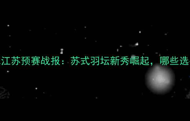 图片 全运会羽毛球江苏预赛战报：苏式羽坛新秀崛起，哪些选手值得关注？