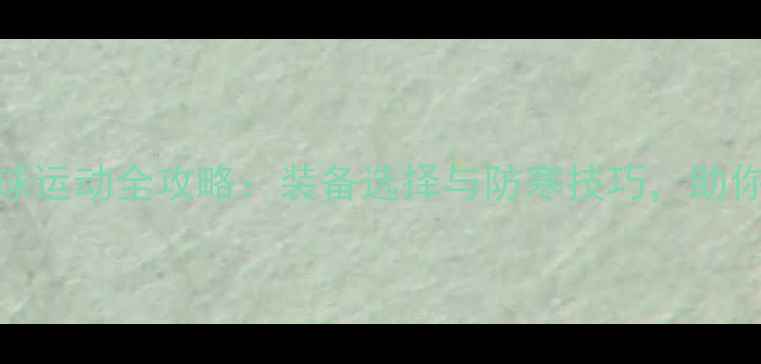 图片 冬季羽毛球运动全攻略：装备选择与防寒技巧，助你温暖过冬