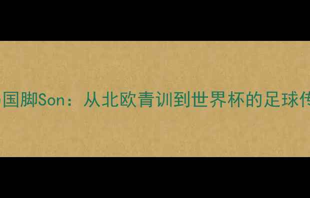 图片 冰岛国脚Son：从北欧青训到世界杯的足球传奇1