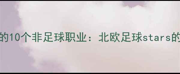 图片 冰岛球员的10个非足球职业：北欧足球stars的多元人生