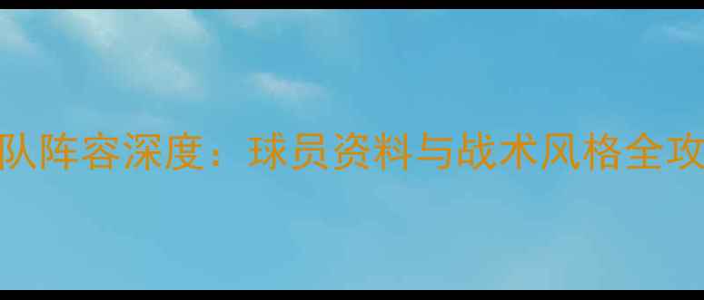 图片 冰岛男足国家队阵容深度：球员资料与战术风格全攻略（最新版）