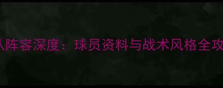 图片 冰岛男足国家队阵容深度：球员资料与战术风格全攻略（最新版）1