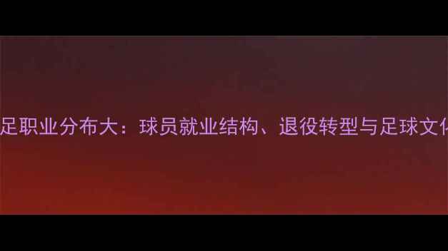 图片 冰岛男足职业分布大：球员就业结构、退役转型与足球文化影响1