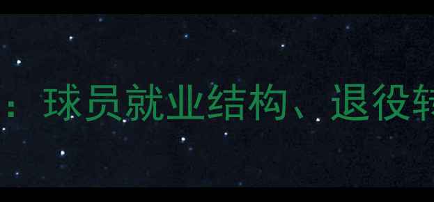 图片 冰岛男足职业分布大：球员就业结构、退役转型与足球文化影响2