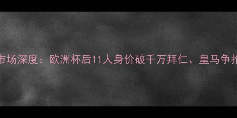 图片 冰岛足球转会市场深度：欧洲杯后11人身价破千万拜仁、皇马争抢格纹军团核心