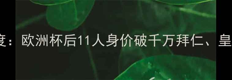 图片 冰岛足球转会市场深度：欧洲杯后11人身价破千万拜仁、皇马争抢格纹军团核心1