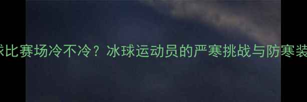 图片 冰球比赛场冷不冷？冰球运动员的严寒挑战与防寒装备2