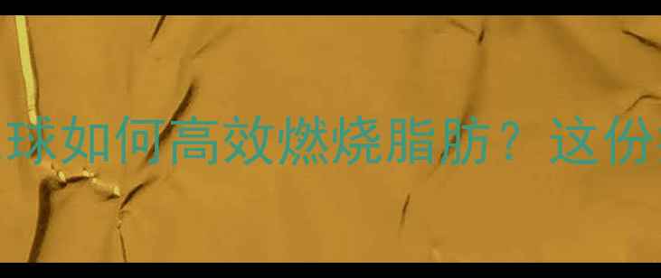 图片 减肥最佳搭档！打羽毛球如何高效燃烧脂肪？这份指南让你一个月瘦10斤