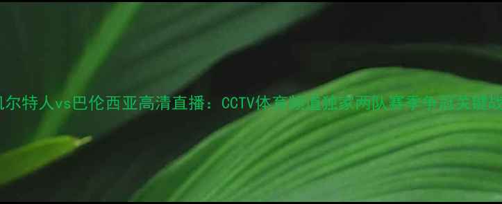 图片 凯尔特人vs巴伦西亚高清直播：CCTV体育频道独家两队赛季争冠关键战1
