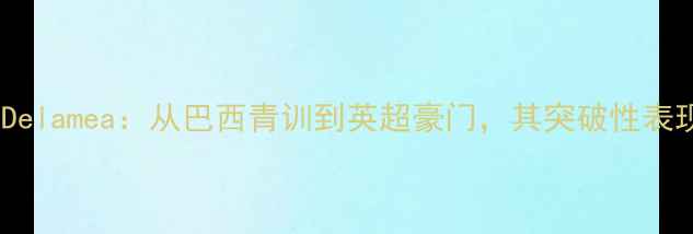 图片 凯尔特人新星Delamea：从巴西青训到英超豪门，其突破性表现与未来潜力1