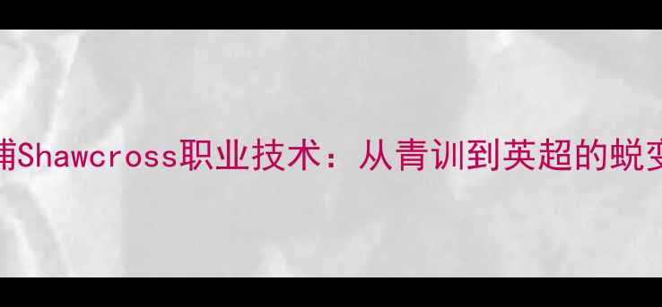 图片 利物浦Shawcross职业技术：从青训到英超的蜕变之路