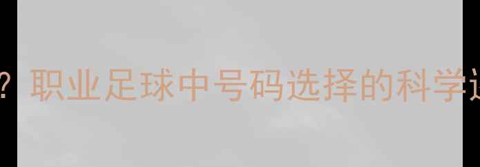 图片 前腰球员穿几号？职业足球中号码选择的科学逻辑与实战案例1