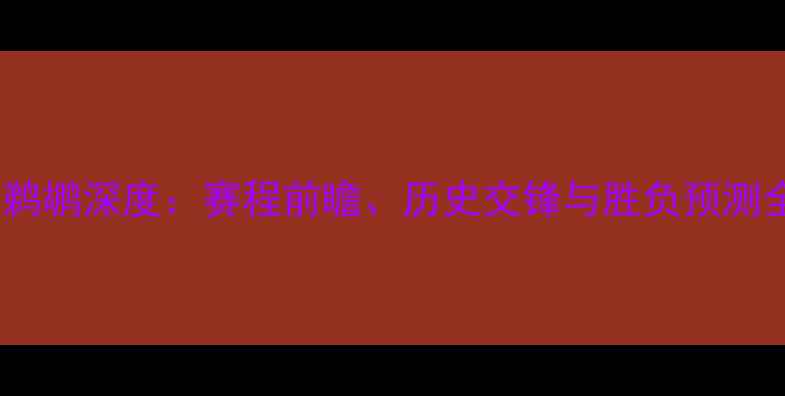 图片 勇士vs鹈鹕深度：赛程前瞻、历史交锋与胜负预测全指南2