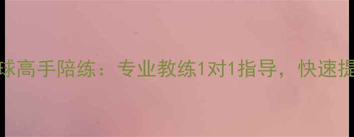 图片 北京上海广州羽毛球高手陪练：专业教练1对1指导，快速提升技术，预约咨询