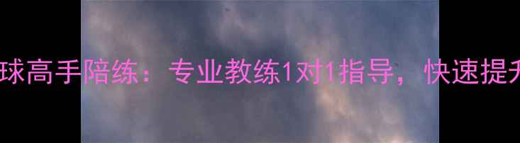 图片 北京上海广州羽毛球高手陪练：专业教练1对1指导，快速提升技术，预约咨询1