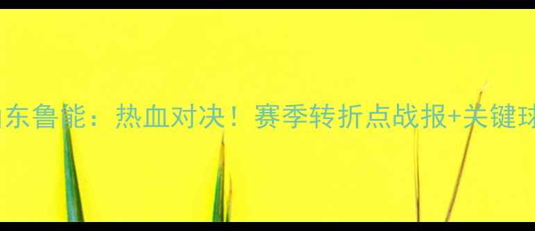 图片 北京国安VS山东鲁能：热血对决！赛季转折点战报+关键球员表现深度2