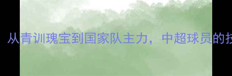 图片 北京国安核心唐诗：从青训瑰宝到国家队主力，中超球员的技术突破与成长之路