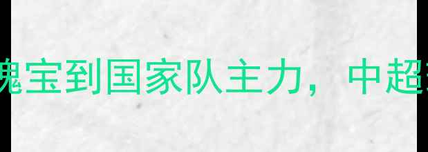 图片 北京国安核心唐诗：从青训瑰宝到国家队主力，中超球员的技术突破与成长之路1