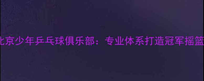 图片 北京少年乒乓球俱乐部：专业体系打造冠军摇篮1