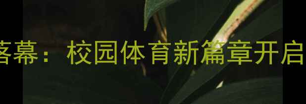 图片 北京市中学生网球比赛圆满落幕：校园体育新篇章开启，青少年体育发展成果显著1