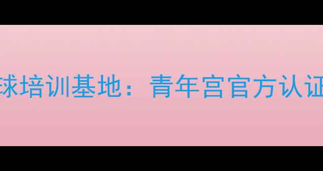 图片 北京市青少年乒乓球培训基地：青年宫官方认证体能训练课程体系