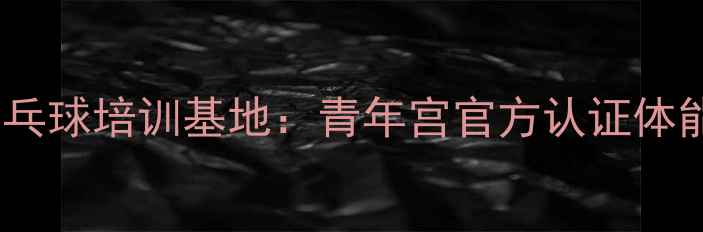 图片 北京市青少年乒乓球培训基地：青年宫官方认证体能训练课程体系1