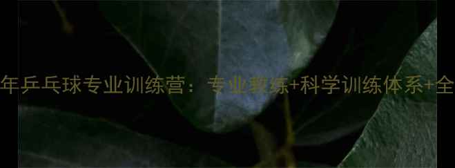 图片 北京暑期青少年乒乓球专业训练营：专业教练+科学训练体系+全国赛事直通车