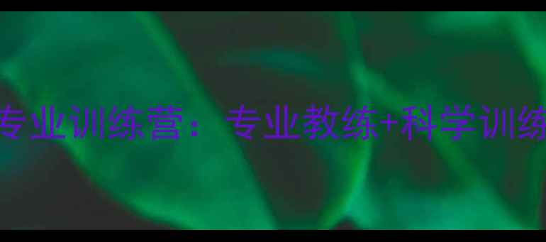 图片 北京暑期青少年乒乓球专业训练营：专业教练+科学训练体系+全国赛事直通车2