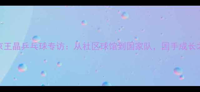 图片 北京王晶乒乓球专访：从社区球馆到国家队，国手成长之路