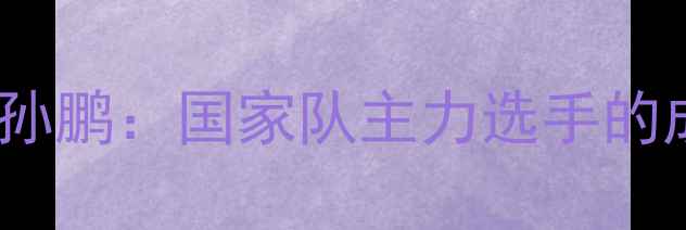 图片 北京羽毛球名将孙鹏：国家队主力选手的成长历程与技术1