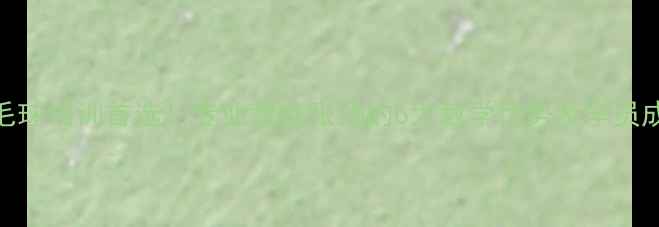 图片 北京羽毛球培训首选！专业教练张扬的6大教学优势及学员成长案例