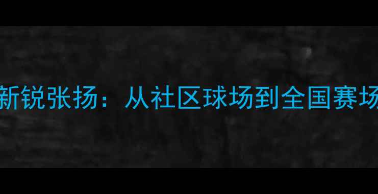 图片 北京羽毛球新锐张扬：从社区球场到全国赛场的逆袭之路