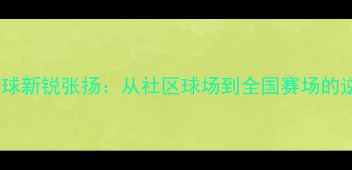 图片 北京羽毛球新锐张扬：从社区球场到全国赛场的逆袭之路2