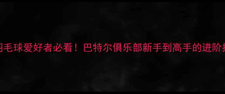 图片 北京羽毛球爱好者必看！巴特尔俱乐部新手到高手的进阶指南✨