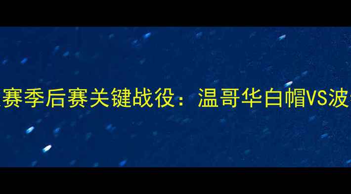 图片 北美足球联赛季后赛关键战役：温哥华白帽VS波特兰大都会