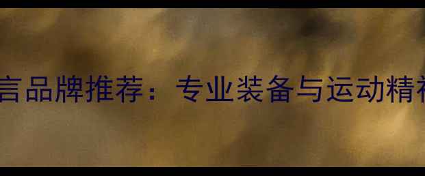 图片 十大羽毛球代言品牌推荐：专业装备与运动精神的完美结合2