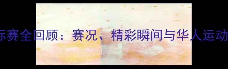 图片 华人杯羽毛球锦标赛全回顾：赛况、精彩瞬间与华人运动精神的巅峰绽放1