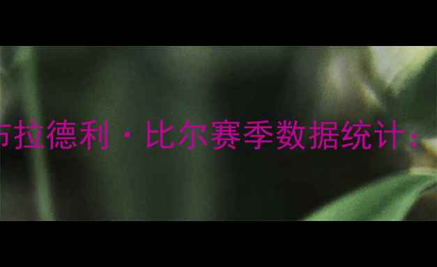 图片 华盛顿奇才队核心球员布拉德利·比尔赛季数据统计：场均25+5+5统治级表现1