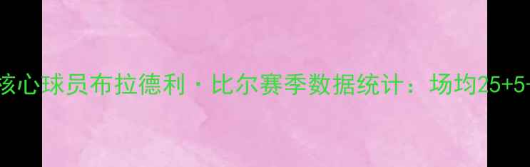 图片 华盛顿奇才队核心球员布拉德利·比尔赛季数据统计：场均25+5+5统治级表现2