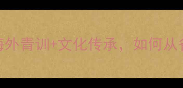 图片 华裔乒乓球选手逆袭记：海外青训+文化传承，如何从省队到国际赛场的成长密码